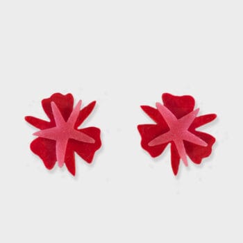 Pendientes rojos y rosas